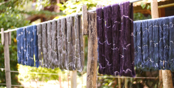 Silk Thread 