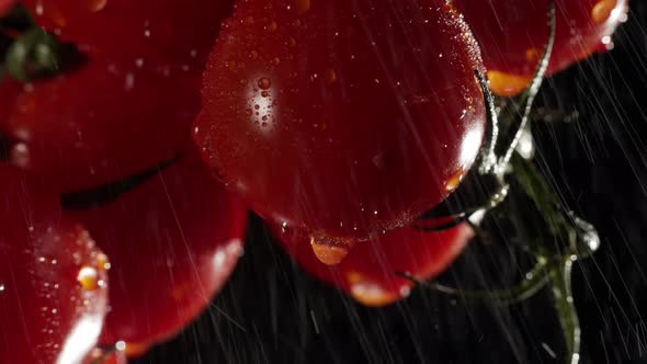 Cherry Tomatoes with Water Splash at a Dark Background