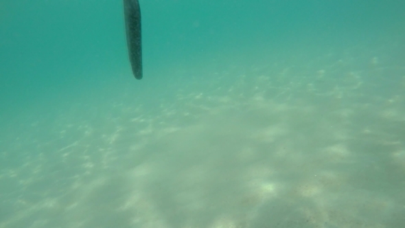 Smart Phone Drop Into The Water. Slow Motion.