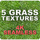 5 Grass Tileable Textures - 3DOcean Item for Sale