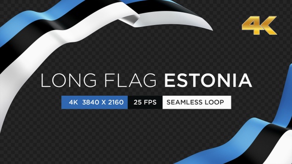 Long Flag Estonia