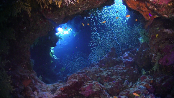 Sunlight Illuminates a Underwater Cave