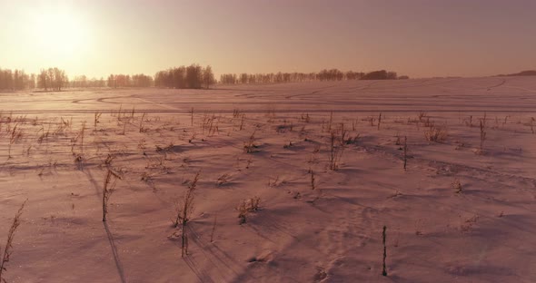 Aerial Drone View of Cold Winter Landscape with Arctic Field Trees Covered with Frost Snow and