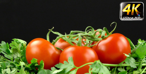 Parsley and Tomato