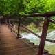 Tourist Walking On Bridge - VideoHive Item for Sale