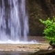Beautiful Waterfall Falling Down In Forest - VideoHive Item for Sale