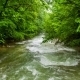 Calm Mountain River Flowing Down Among Greenery In - VideoHive Item for Sale