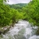 Rapid Mountain River Flowing In Fresh Green Forest - VideoHive Item for Sale