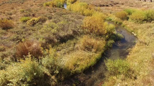 Aerial view of Kokanee Salmon spawning in a small river in Utah