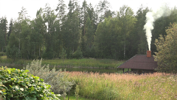 Forest House or Sauna 5