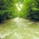 Calm River Flowing Down Among Lush Greenery In - VideoHive Item for Sale