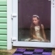 Sad Girl Sitting At Glass Door And Looking At Rain - VideoHive Item for Sale