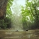 Beautiful Small Waterfall In Wild Crimea Forest - VideoHive Item for Sale