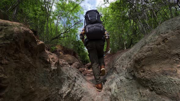 man traveler with backpack walking and looking in the natural forest