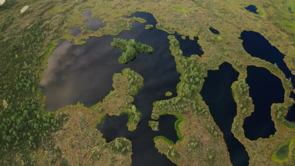 Aerial View of Lakes