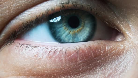 Beautiful Blue Woman Eye, Extreme Close-up. Sight. Detail View Young Girl's Eye