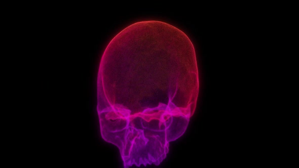 Skull 3D from Particles