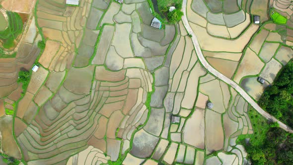 Aerial drone of Rice terraces and fields