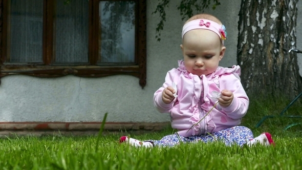 Seven Month Baby Plays On a Lawn With a Flower