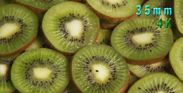 Slices of Kiwi Fruit 03 