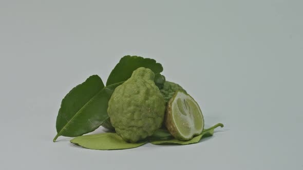 Bergamot