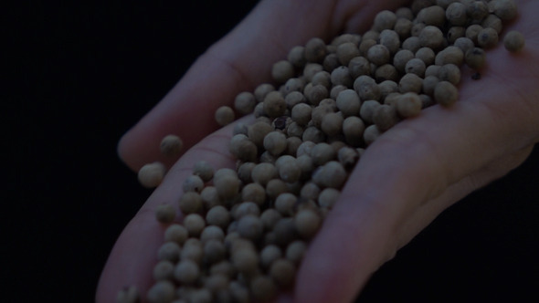 Pouring Pepper