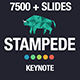 Stampede - Multipurpose Keynote Template - GraphicRiver Item for Sale