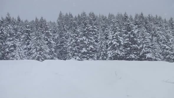 Lonely Man Snowmobiling In The Powder Snow 6