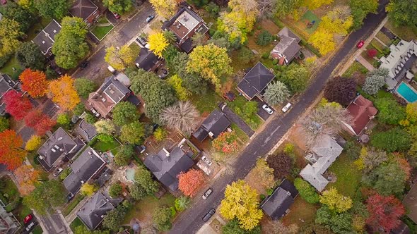 Top Suburban View Of Montreal And Beautiful Trees 2