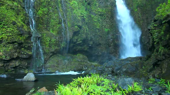 Lush Waterfall 2