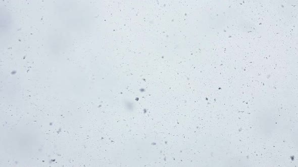 Snow Falling On The Lens 1 alt