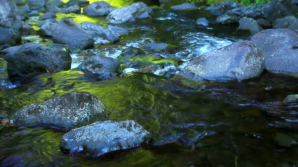 Water Flowing In Stream