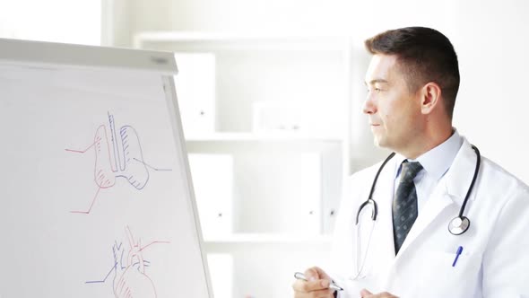 Happy Doctor Showing Medical Drawing On Flip Board 1