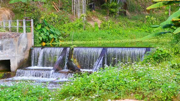 Weir Waterfall