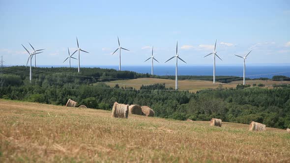 Wind Turbine And Field 3