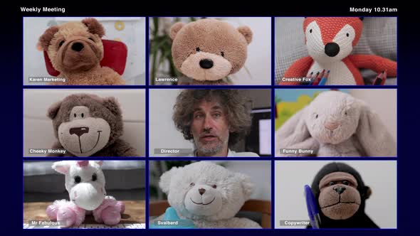 Video of Teddy Bear Video Conference