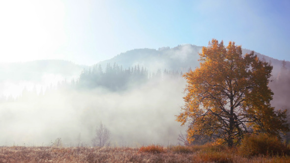 Autumn Morning Mist in the Mountains
