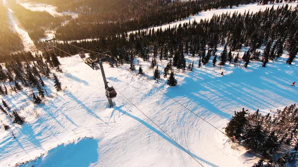 Snowy Slopes with Pine Trees Skiing Pistes and Ski Lift