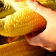 Hands of Girl Opening Ear of Corn - VideoHive Item for Sale
