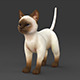  White Brown Kitten - 3DOcean Item for Sale