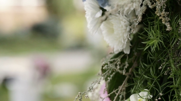 Flowers Arrangement Several