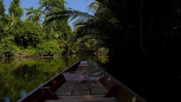 Fisherman Fishing In Amazon Jungle River