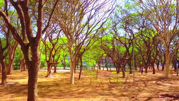 Drone shot flying backwards through the gardens in downtown Brasilia