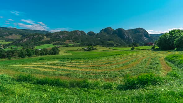 Agricultural tractor mow silage green pasture in rural Norwegian landscapes, time lapse