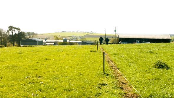 Two cattle farmers walking in the field