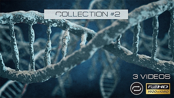 DNA - 3 Pack - Collection #2 alt