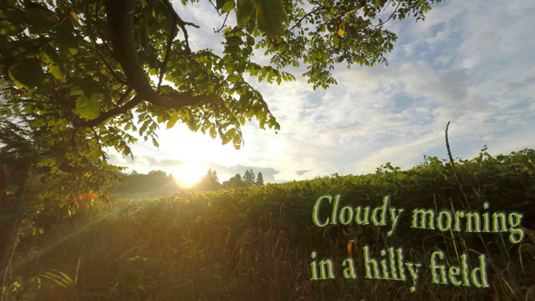 Cloudy Morning in a Hilly Field