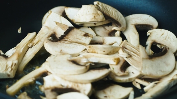 Mushrooms Are Fried In a Pan
