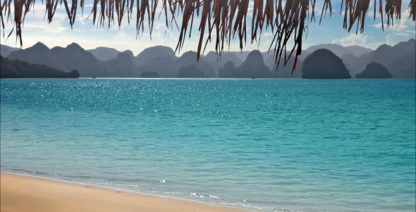 Tropical Beach and Mountains