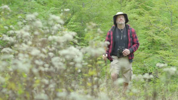 An older man going on a scenic hike through a forest in the mountains.